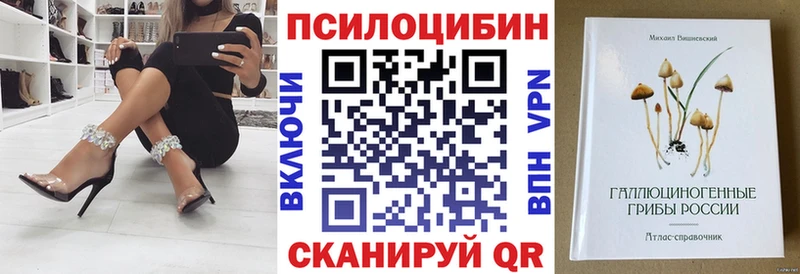 это какой сайт Северская Псилоцибиновые грибы Psilocybe купить цена